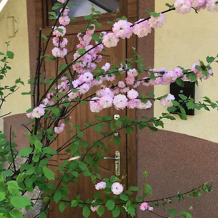 Lviv-Centre Apartments Gorodotska 44 Экстерьер фото